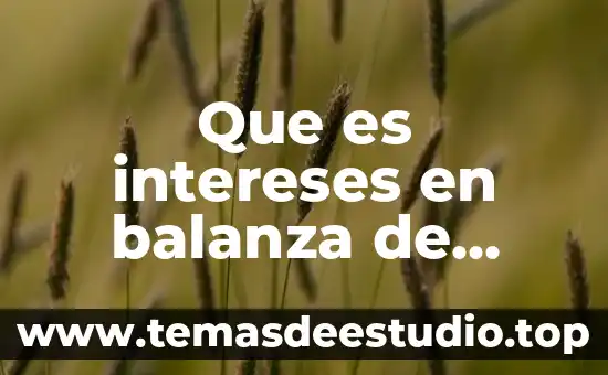Que es concepto intereses en derecho mercantil 4 Que es intereses en balanza de pagos