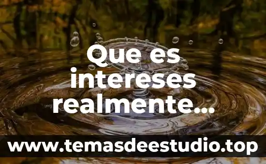 Que es concepto intereses en derecho mercantil 8 Que es intereses realmente pagado