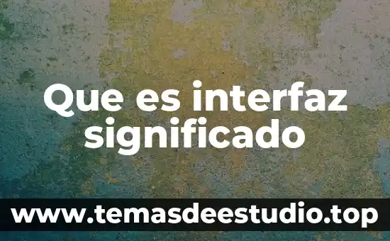 Panacea significado que es 4 Que es interfaz significado