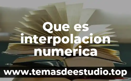 Que es corresponsabilidad ente representacion numerica y grafica 6 Que es interpolacion numerica