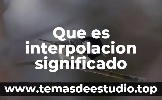 Laringe significado etimológico y que es 4 Que es interpolacion significado