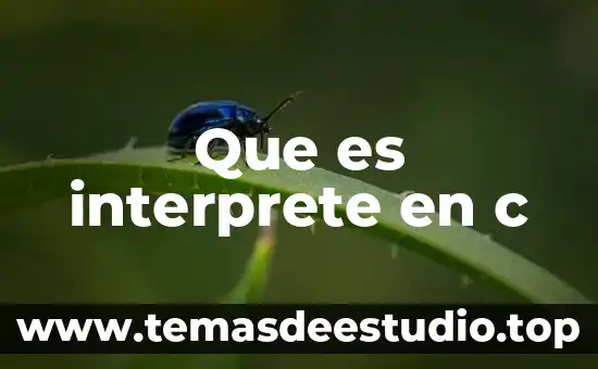 Que es la linguistica e historia de la lengua 3 Que es interprete en c