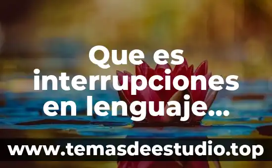Que es el lenguaje en la danza 3 Que es interrupciones en lenguaje ensamblador