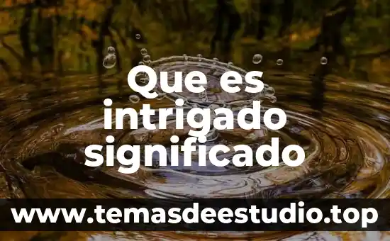 Que es halloween significado 7 Que es intrigado significado