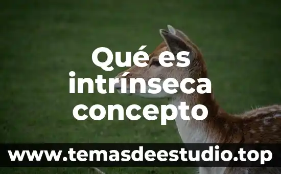 Que es la escala de valores concepto 6 Qué es intrínseca concepto