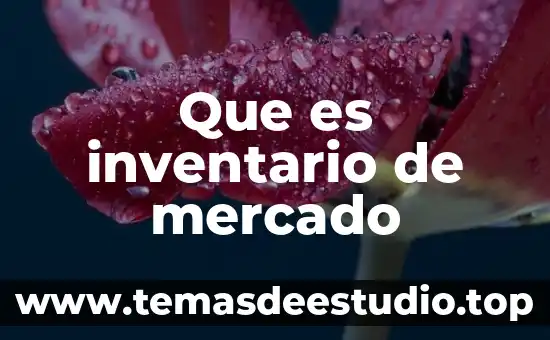 Qué es el mercado mexicano de valores 6 Que es inventario de mercado