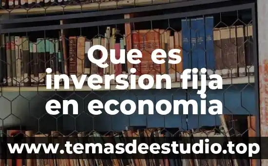 Que es inversion fija en economia