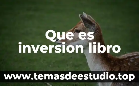 Que es inversion libro