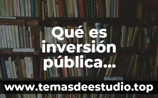 Qué es inversión pública consumo interno definición