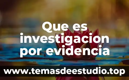 Que es y como se forma un portafolio de evidencia 4 Que es investigacion por evidencia