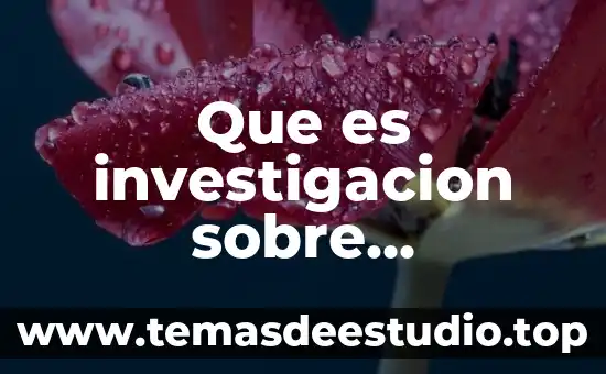 Que es la educacion en los valores 4 Que es investigacion sobre educacion