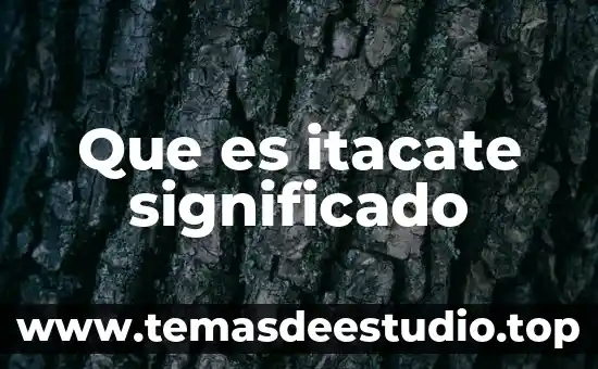 Qué es naturaleza significado 3 Que es itacate significado