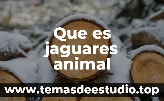 Qué es el derecho plenamente a la sexualidad 4 Que es jaguares animal