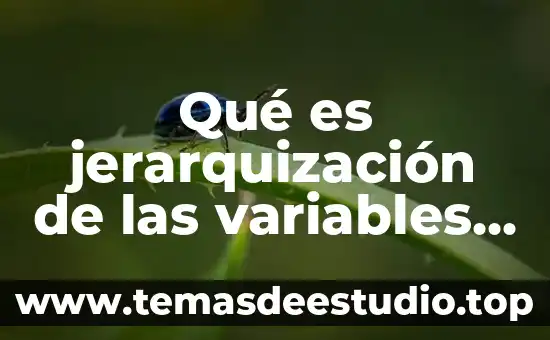 Que es ser etica en una empresa 7 Qué es jerarquización de las variables tipos y ejemplos