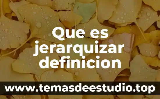 Qué es exegética definición 4 Que es jerarquizar definicion
