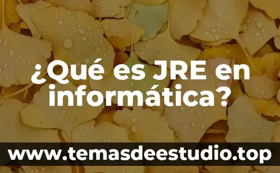 Que es representación gráfica de variable real 4 ¿Qué es JRE en informática?