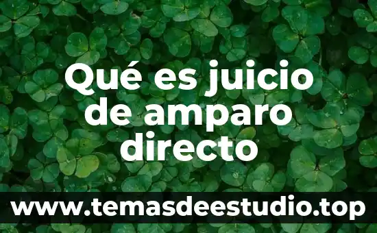 Que es un amparo directo adhesivo 7 Qué es juicio de amparo directo