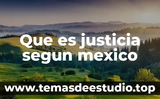 Que es pea en economia mexico 4 Que es justicia segun mexico