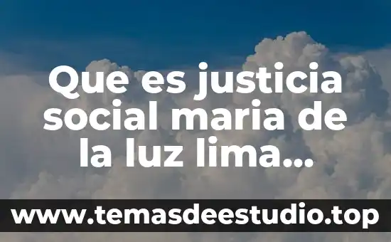 Para parsons que es el sistema social 7 Que es justicia social maria de la luz lima malvido