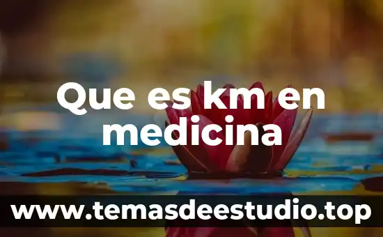 Qué es el espesor IM en medicina 8 Que es km en medicina