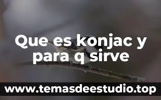 Que es lo q hacian en la cultura teotihuacana 5 Que es konjac y para q sirve