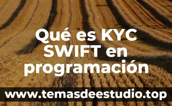 Qué es un supar en programación 5 Qué es KYC SWIFT en programación
