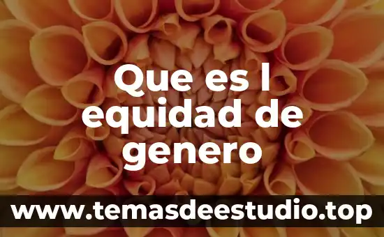 Que es l equidad de genero