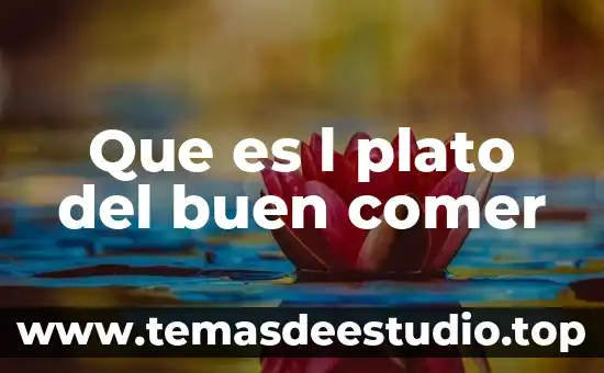 Por que es imortante el plato del bien comer 7 Que es l plato del buen comer