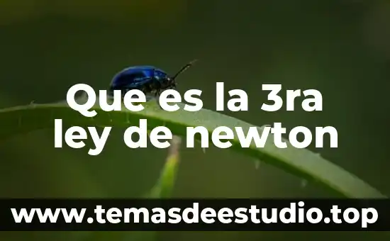 Que es el movimiento segun las tres leyes de newton 3 Que es la 3ra ley de newton