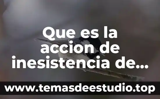 Que es la paradoja de la informacion 7 Que es la accion de inesistencia de un contrato