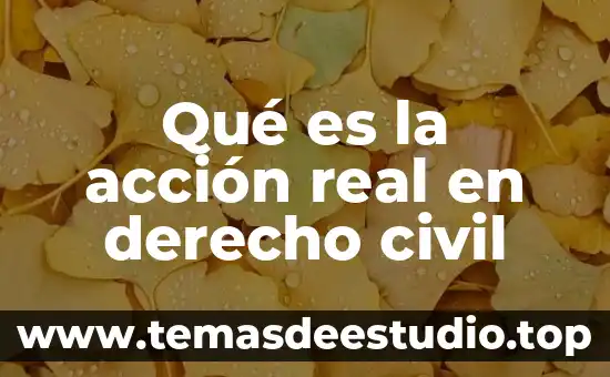 Que es tramitacion diccionario de la real lengua española 4 Qué es la acción real en derecho civil