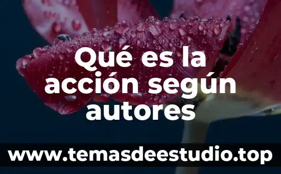 Que es la matematica segun gauss 7 Qué es la acción según autores