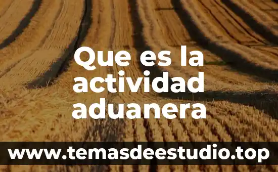 Que es enajenar en materia aduanera 8 Que es la actividad aduanera
