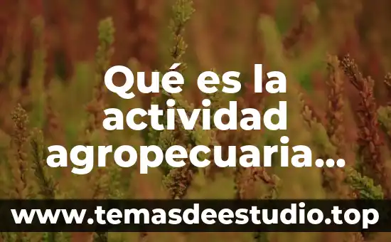 Qué es la actividad agropecuaria en argentina