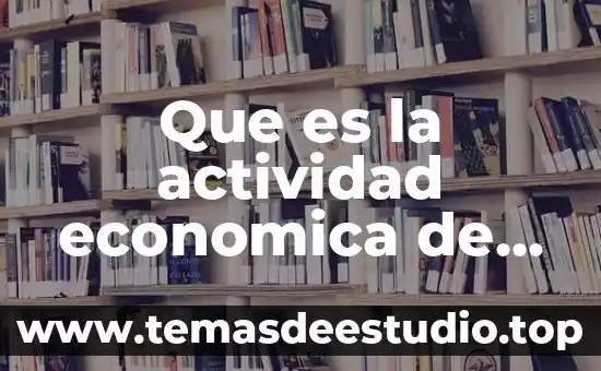 Que es la actividad economica de un pais prezi