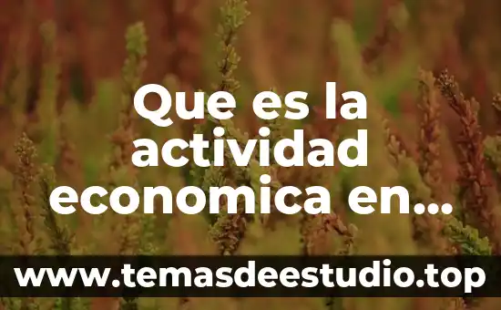 Que es el banco de información economica del inegi 5 Que es la actividad economica en geografia