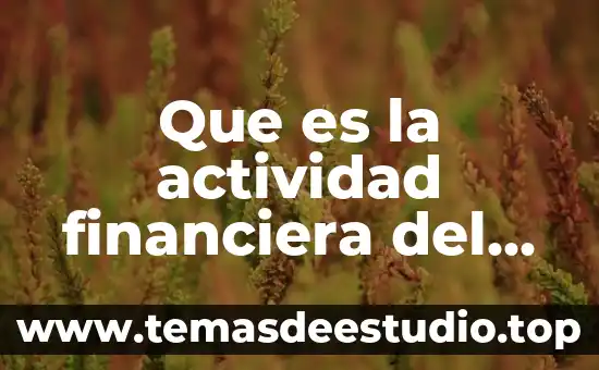 Que es la actividad financiera del estado mexicano