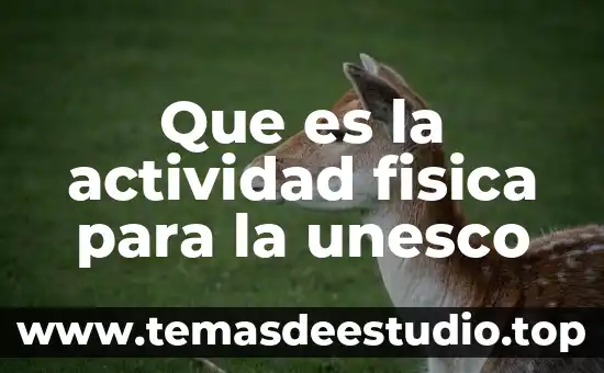 Unesco que es concepto urbano 3 Que es la actividad fisica para la unesco