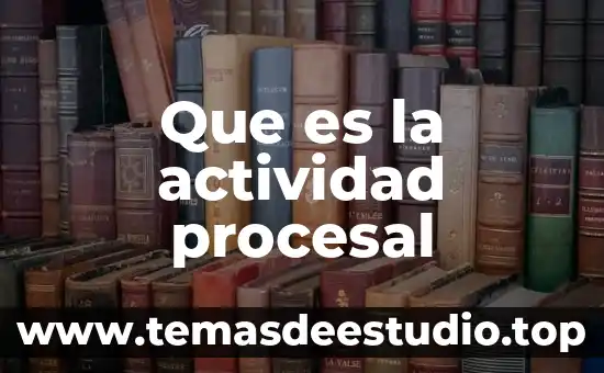 Que es la actividad procesal
