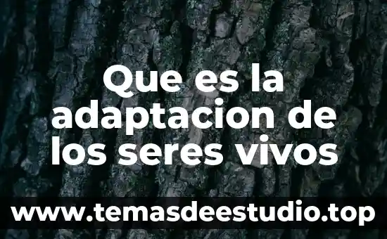 Respiracion de seres vivos que es 3 Que es la adaptacion de los seres vivos