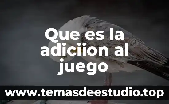 Qué es en un ofensivo en un juego 3 Que es la adiciion al juego