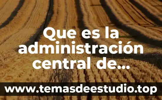 Que es la actividad aduanera 8 Que es la administración central de operación aduanera