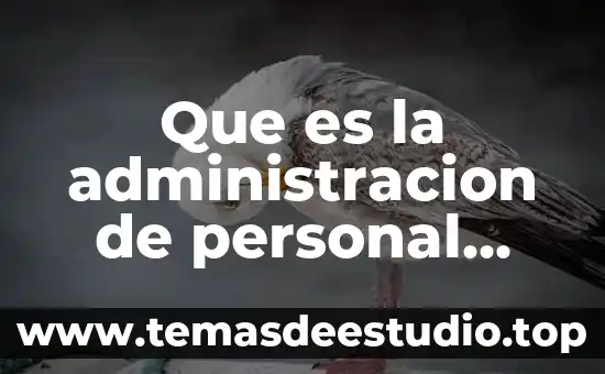 Que es canalizar en administracion 4 Que es la administracion de personal publico