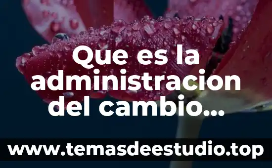 Qué es un embarazo deseado y planeado 3 Que es la administracion del cambio planeado