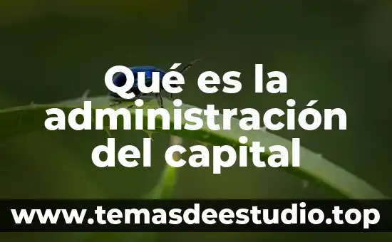 Que es costo de administracion 5 Qué es la administración del capital