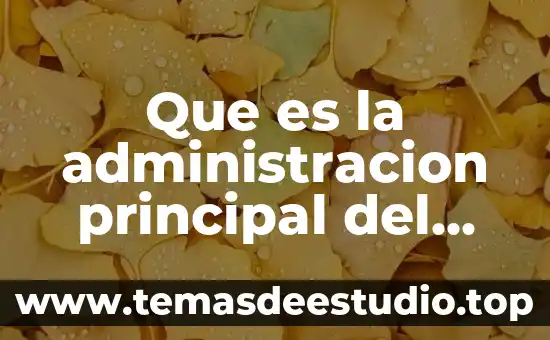 Que es la administracion principal del negocio