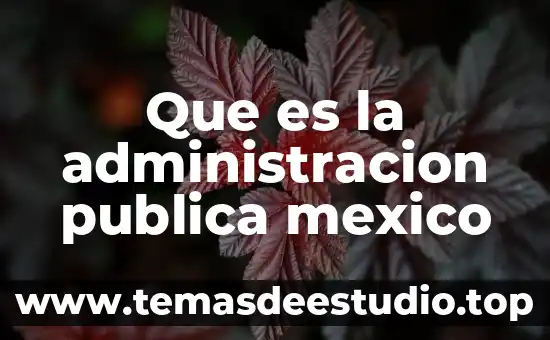 Que es la administracion publica mexico