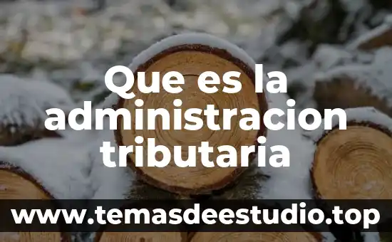 Qué es el número VIN de un coche 4 Que es la administracion tributaria