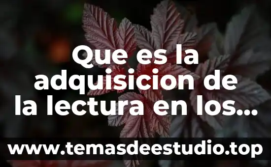 Que es la educacion significado para niños 5 Que es la adquisicion de la lectura en los niños