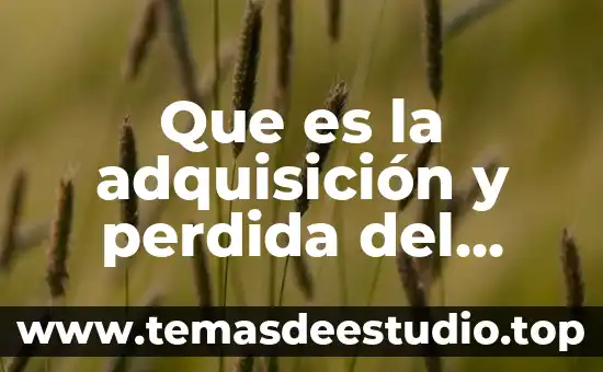 Que es internacionalizar una marca 5 Que es la adquisición y perdida del derecho de marca